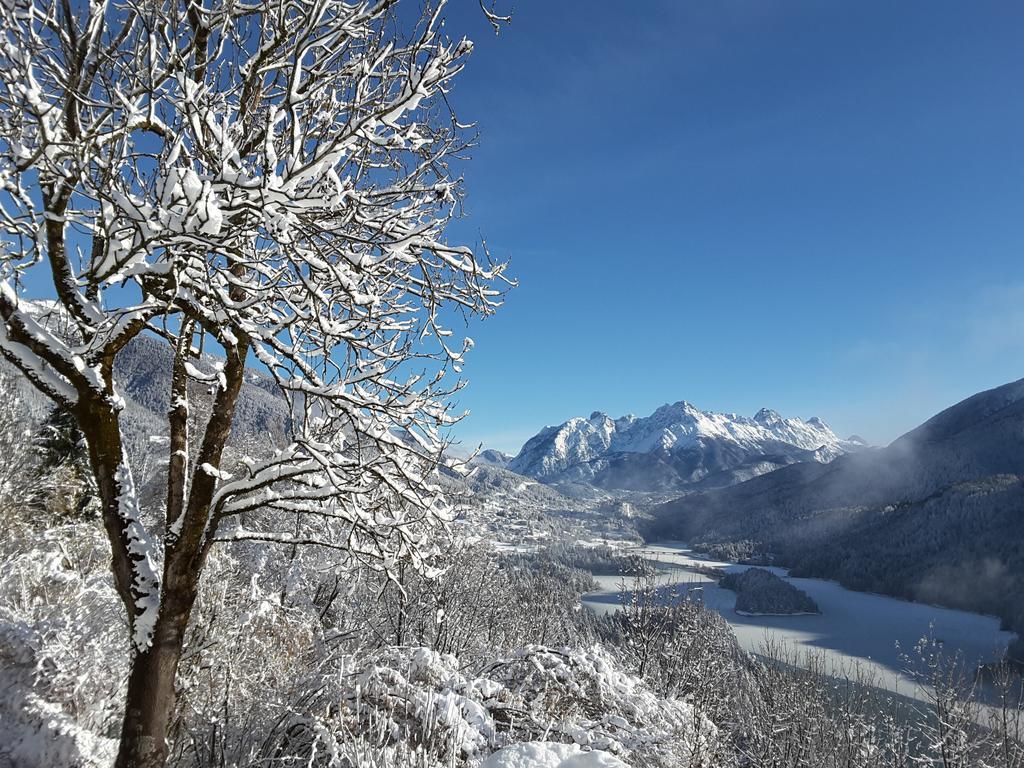 Dolomiti Διαμέρισμα Pieve di Cadore Εξωτερικό φωτογραφία
